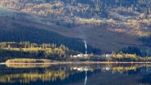 Bioenergi må få en tydeligere plass i Energi 2050