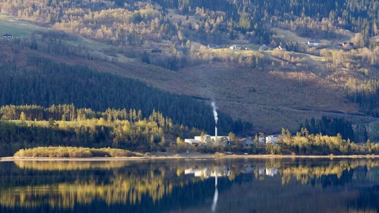 Bioenergi må få en tydeligere plass i Energi 2050