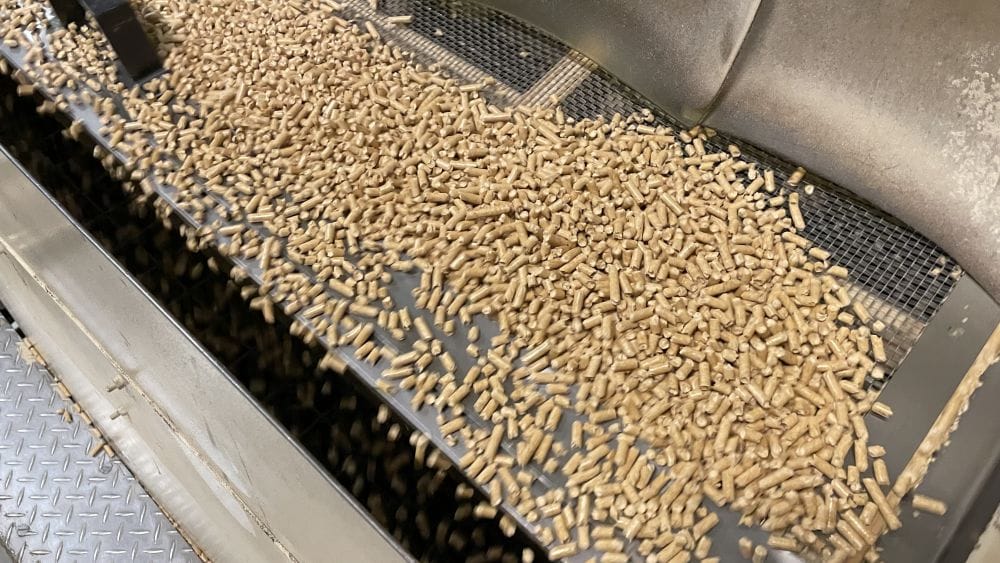 Pellets under produksjon på Solør Bioenergi sin pelletsfabrikk i Brumunddal