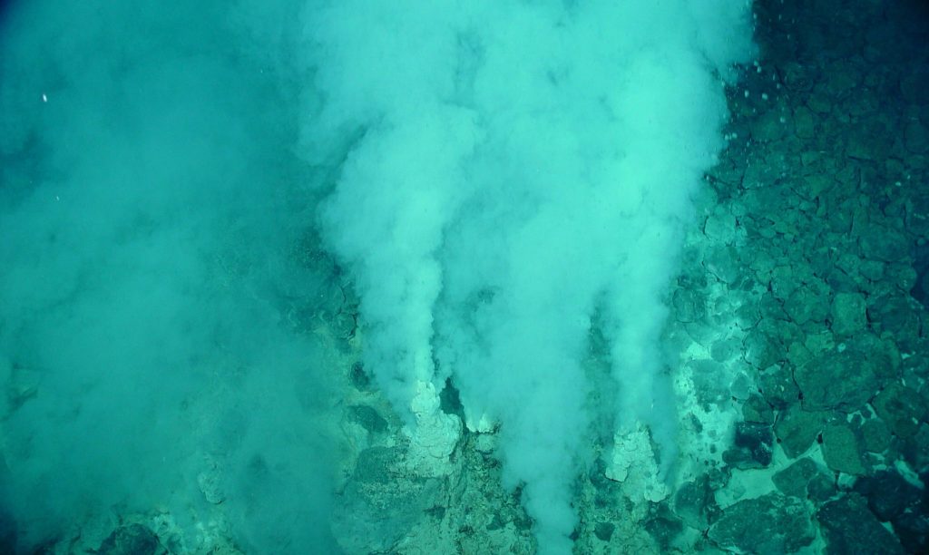 Bildetekst: Levende organismer blir hentet opp fra havbunnen, der de lever under ekstreme temperaturer og høyt trykk. Foto: NOAA/Wikimedia.